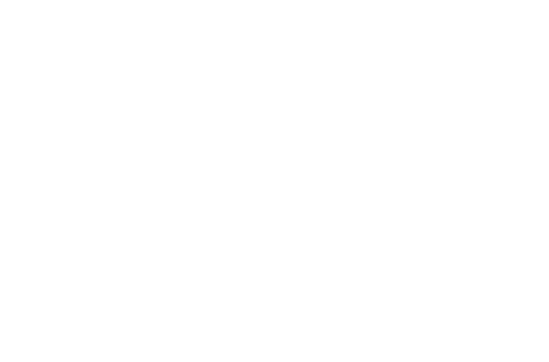 vironline logo