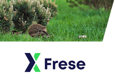 kampaania Frese