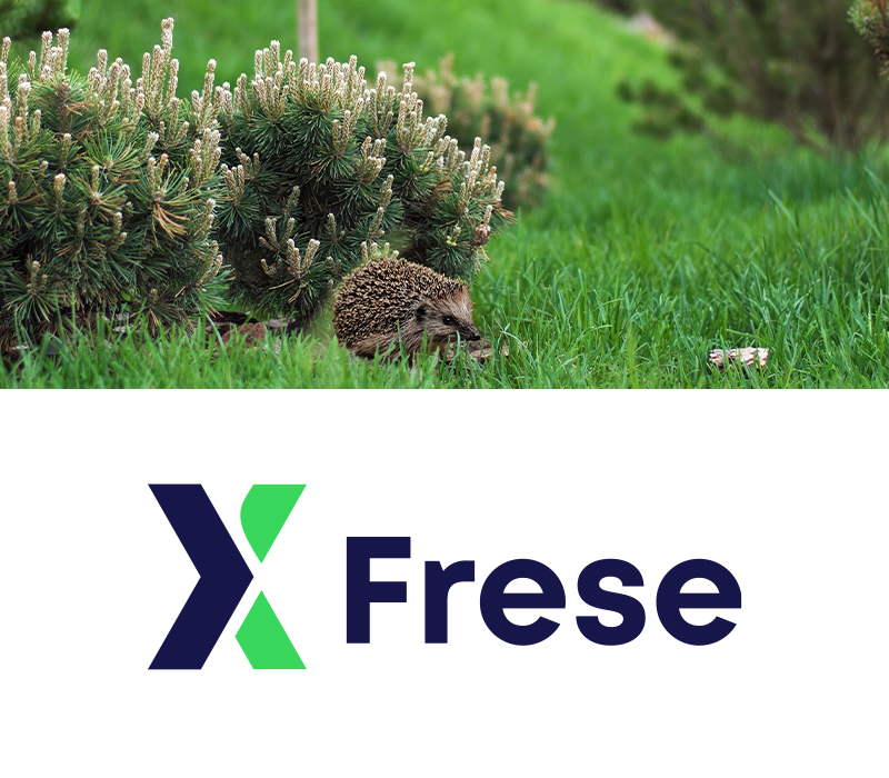 kampaania Frese